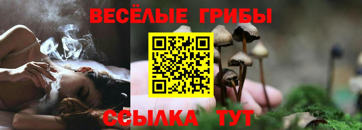 Галлюциногенные грибы ЛСД Назарово